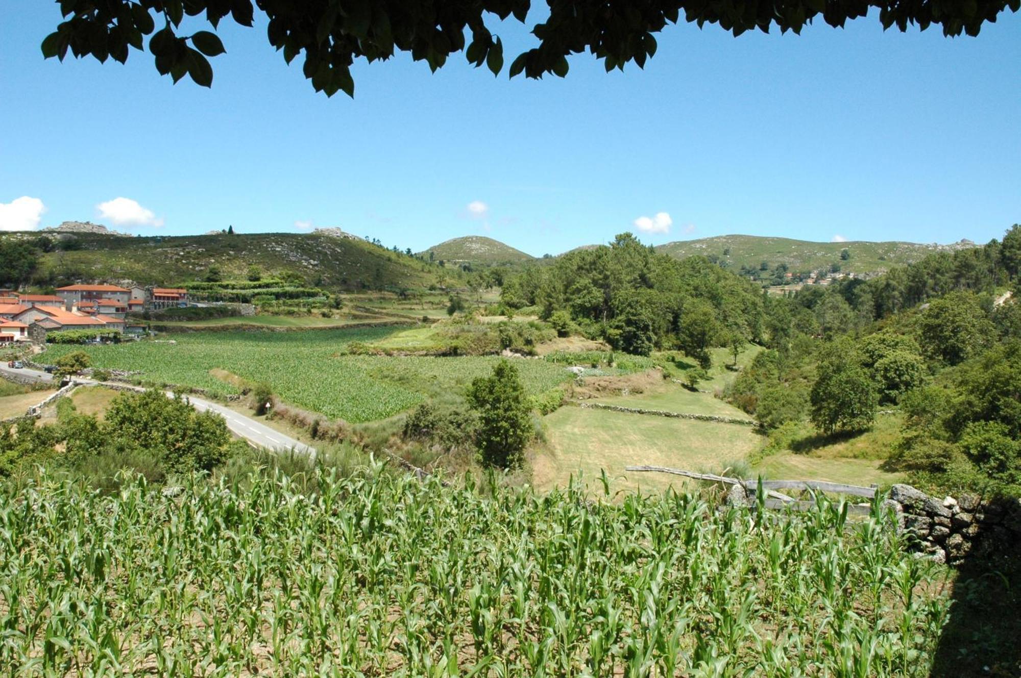 Casa De Campo Monte Abades Terras de Bouro Εξωτερικό φωτογραφία
